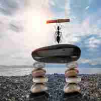 最‍新​SEO优‌化​系‌统﻿